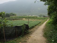 -开平碉楼文化旅游区马降龙景区