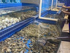 -乔哥铭洋海鲜自助(皇城恒隆广场店)