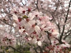 -晓庄学院-食堂