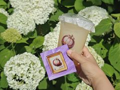 -LELECHA乐乐茶(王府井喜悦店)