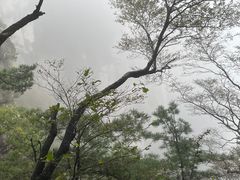 -洛阳白云山景区
