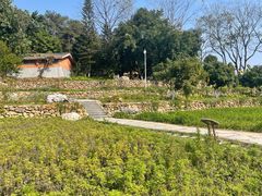 -广西壮族自治区药用植物园