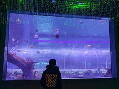 -石家庄极地海洋世界