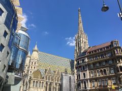 -斯蒂芬主教座堂(Stephansdom)