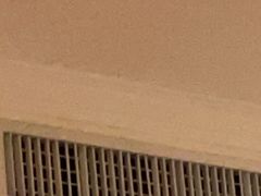 -三亚亚龙湾金棕榈度假酒店