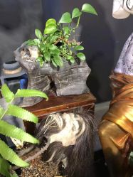 -周忆刺青原创设计定制