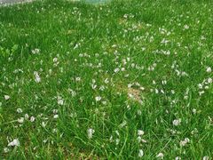 -无锡新湖铂尔曼大酒店