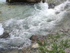 -稻城亚丁景区-冲古草甸