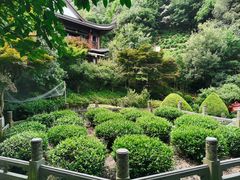 -十八棵（老龙井）御茶园(老龙井店)