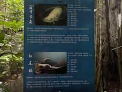 -青青世界