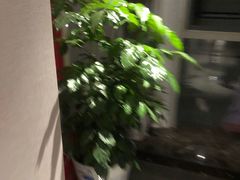 -圣和足道·瑶浴SPA·养生茶府(光华店)