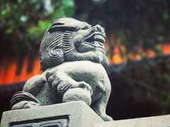 -普陀山风景名胜区-法雨禅寺