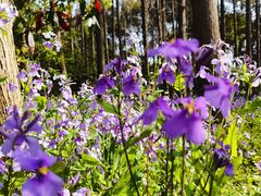 -停车场(临桂路)