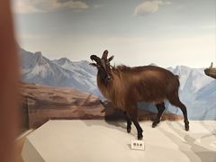 -陕西自然博物馆