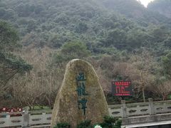 -宁波五龙潭景区