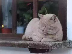 -墨尔本皇家植物园