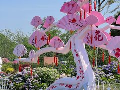 -佛手湖郊野公园