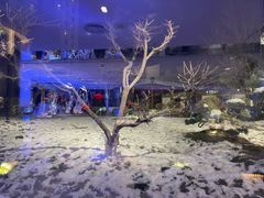-九献创意菜·牛排馆(亮马河花园店)
