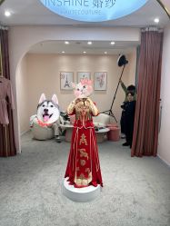 -韩国天使嫁衣婚纱礼服馆(上海旗舰店)