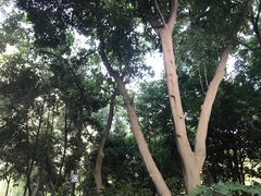 -成都市活水公园
