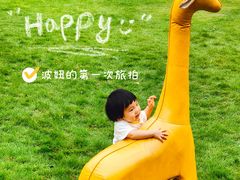 -杭州开元森泊度假乐园