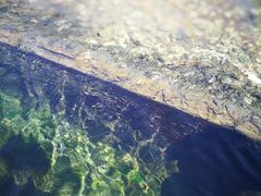 -桤木河湿地公园