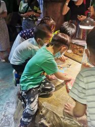 -酷嗒动物文化乐园(cutezoo西溪乐天城店)