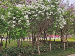 -郑州植物园