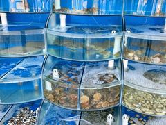 水产区-海之味海鲜大咖·家常菜