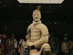 -老白家水盆羊肉