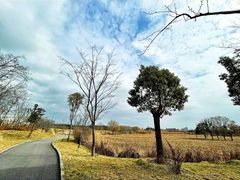 -广富林郊野公园
