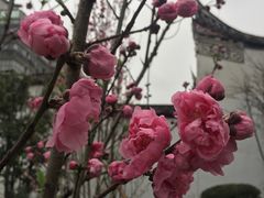 -乌山风景区