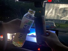 -枫花园汽车电影院(朝阳公园店)