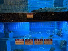 -金悦轩海鲜城(渔人码头店)