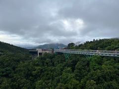 -呀诺达热带雨林