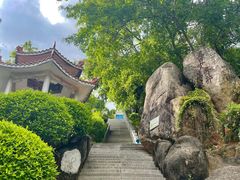 -青礁慈济宫