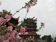 -黄鹤楼公园(黄鹤楼)