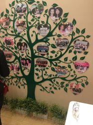 -紫琪尔国际丰胸美胸机构