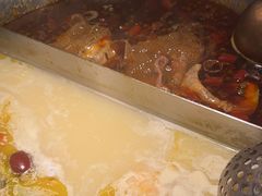 -九鼎轩脆毛肚火锅(三钢里店)