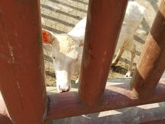 -无锡动物园·太湖欢乐园