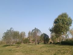 -华山风景区-华阳宫