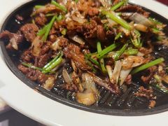 -秀儿四九城·新京菜(亚运村鸟巢店)