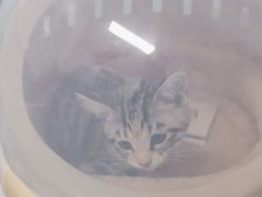 -达爱动物医院·犬猫分区·CT·复杂眼科(远洋山水分院)