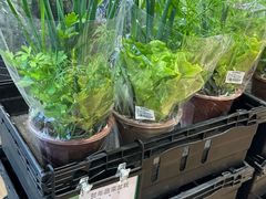 -AEON永旺(东方宝泰店)