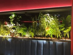 -沪小胖·小龙虾·蓝龙王(八佰伴店)