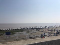 -南汇嘴观海公园