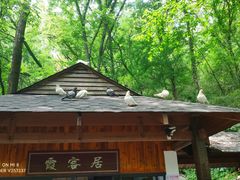 -善卷洞风景区