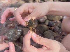 -宁波松兰山滨海旅游度假区
