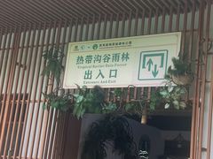 -西双版纳原始森林公园