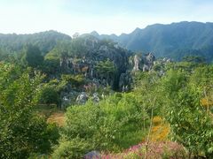 -千岛湖石林
